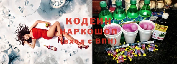 гашик Бородино