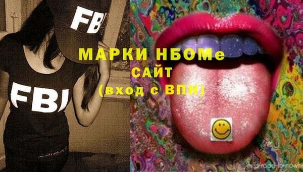 гашик Бородино